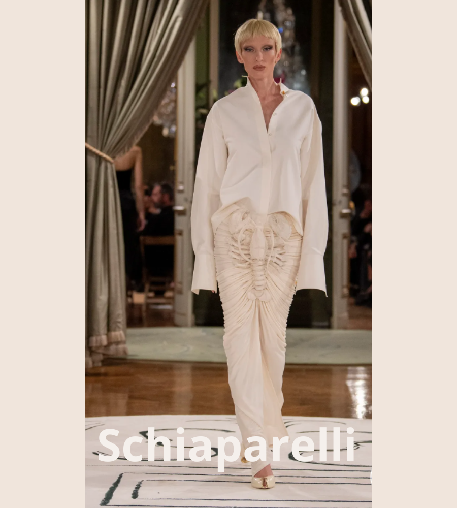 Schiaparelli 24